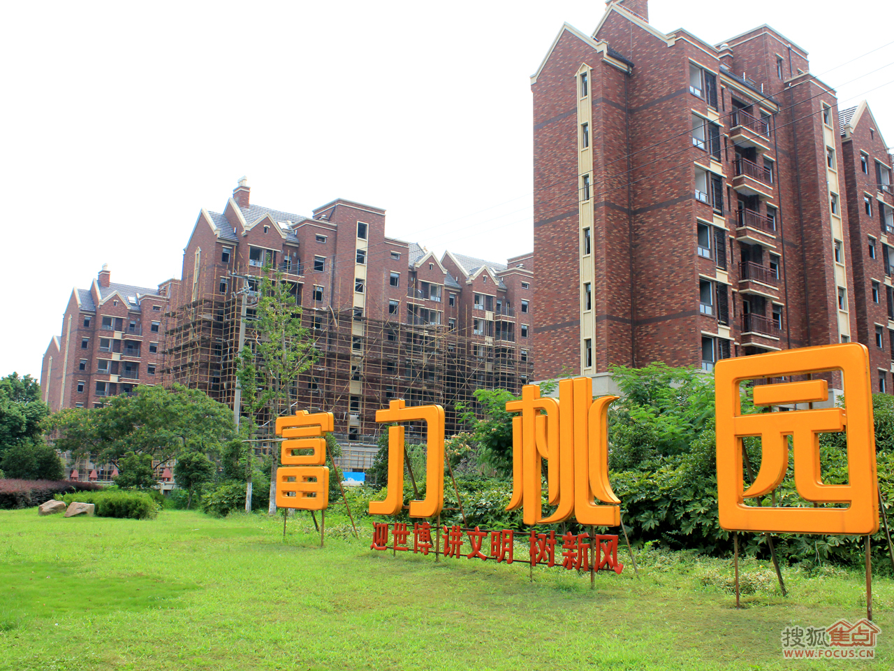 快评 第318页