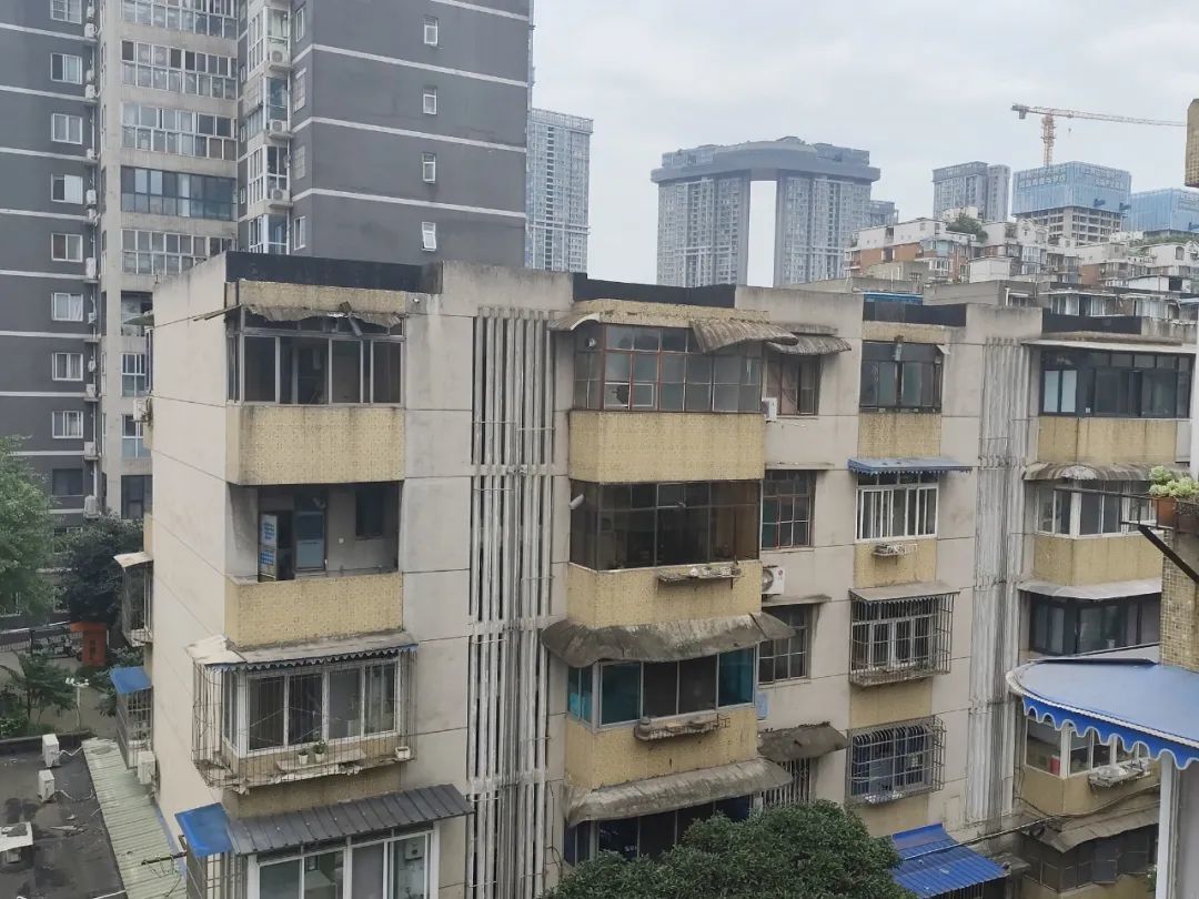 快评 第311页