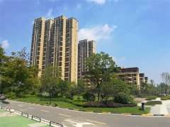 快评 第295页