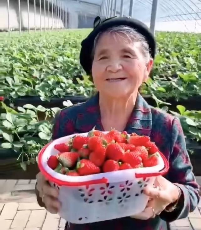 新澳好彩免费资料查询水果奶奶|精选解释解析落实