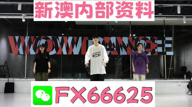 管家婆一码一肖资料,管家婆一码一肖资料，揭秘与深度探讨