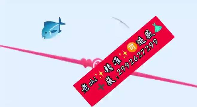 新澳门彩新澳精准资料,新澳门彩新澳精准资料，探索与解读