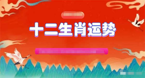 澳门精准一肖一码准确,澳门精准一肖一码准确，探索命运之轮的神秘面纱