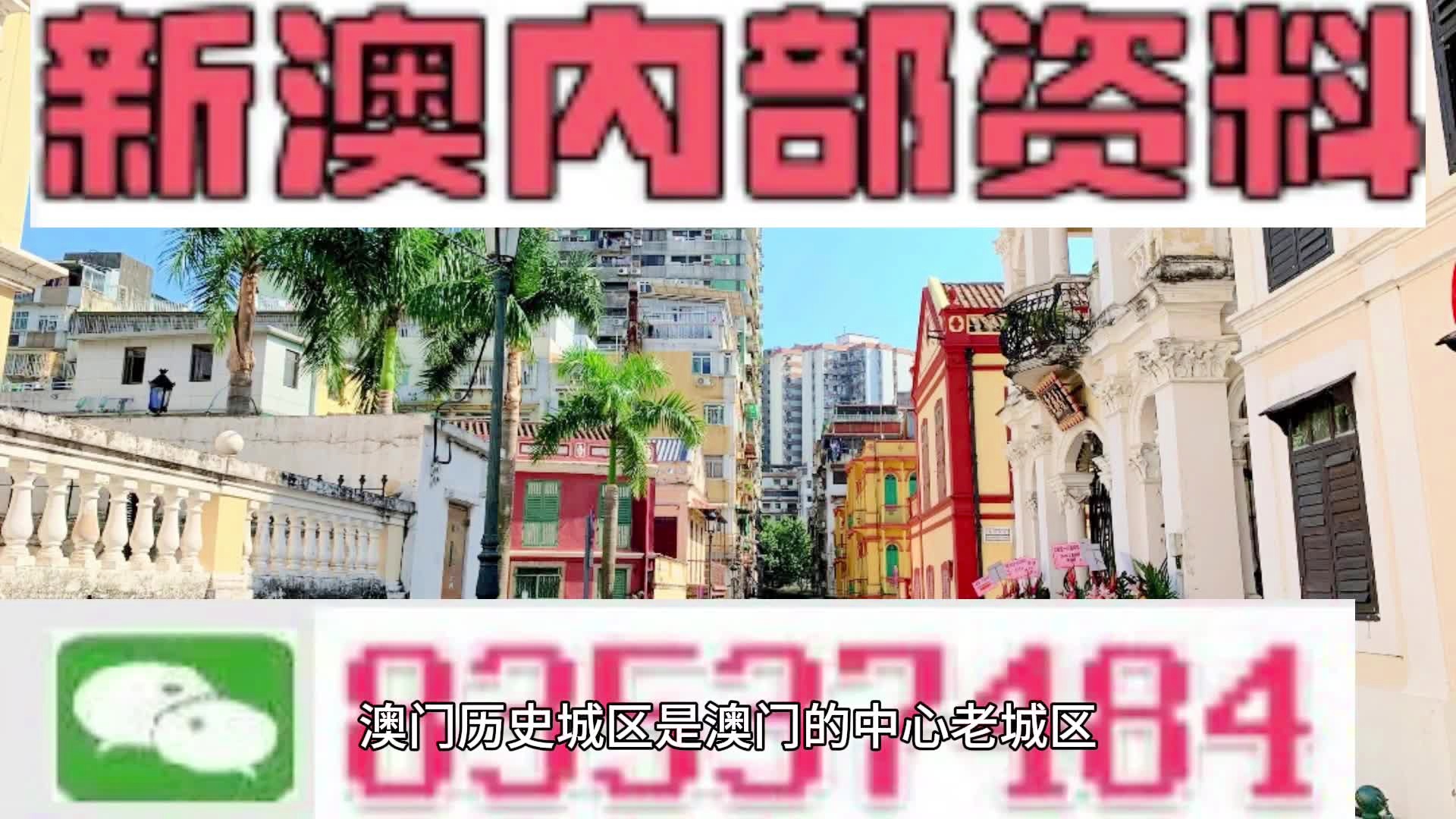 新澳门免费资料大全使用注意事项,新澳门免费资料大全使用注意事项详解