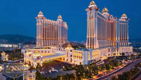 澳门四不像网凤凰,澳门四不像网凤凰，探索与解析
