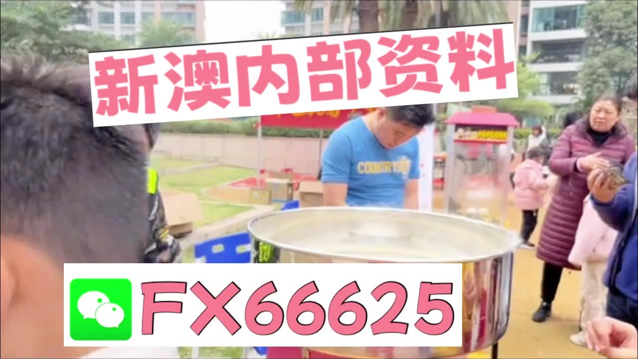 2025新澳资料免费资料大全,2025新澳资料免费资料大全，探索与利用