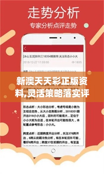 二四六天天彩免费资料查询,二四六天天彩免费资料查询，探索与解析