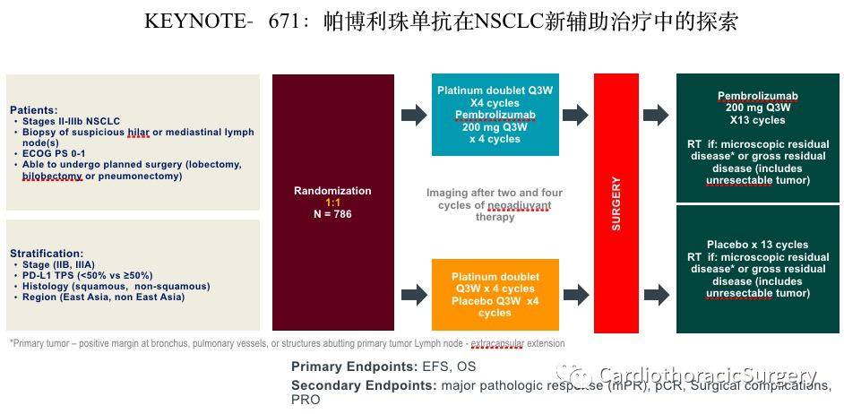 2025新澳门正版免费资料,探索澳门未来，2025新澳门正版免费资料解析
