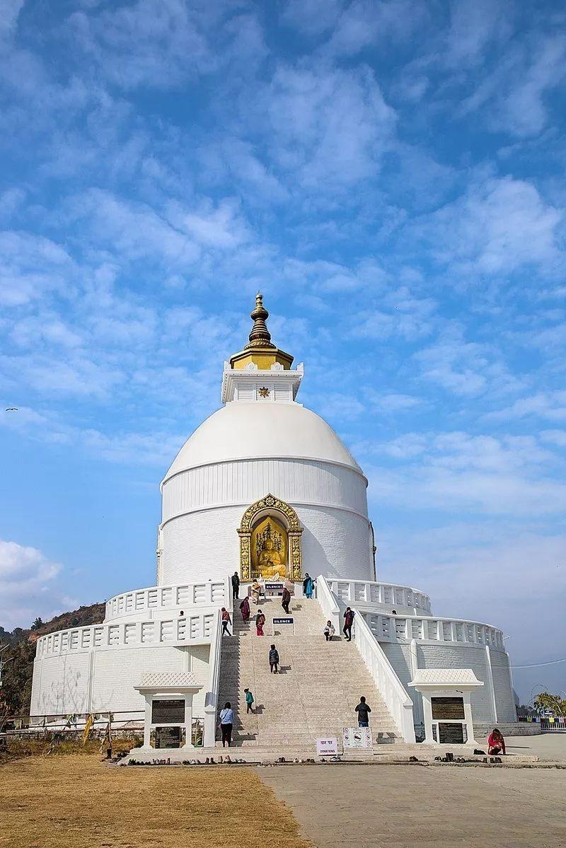 2025年白小姐四肖期期准,探索未来，2025年白小姐四肖期期准的神秘面纱