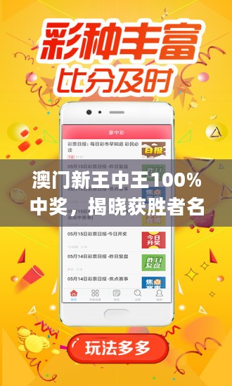 王中王网站最快开奖,王中王网站，最快开奖体验分享