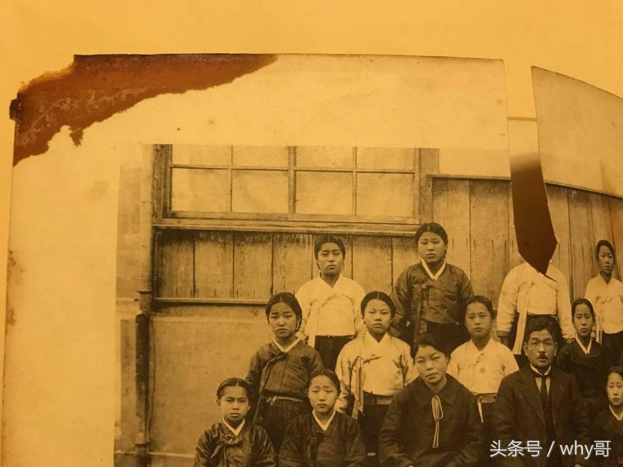 快评 第66页