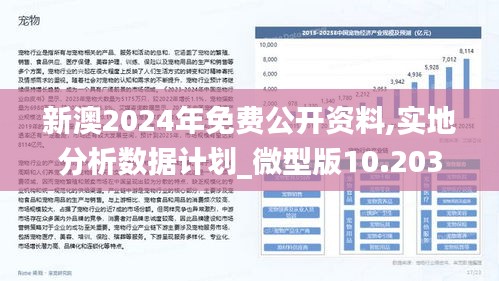 新澳2025年精准正版资料,新澳2025年精准正版资料，探索未来之路
